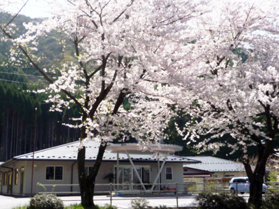 勤務先